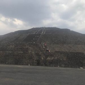 Meet your Posher, Irene